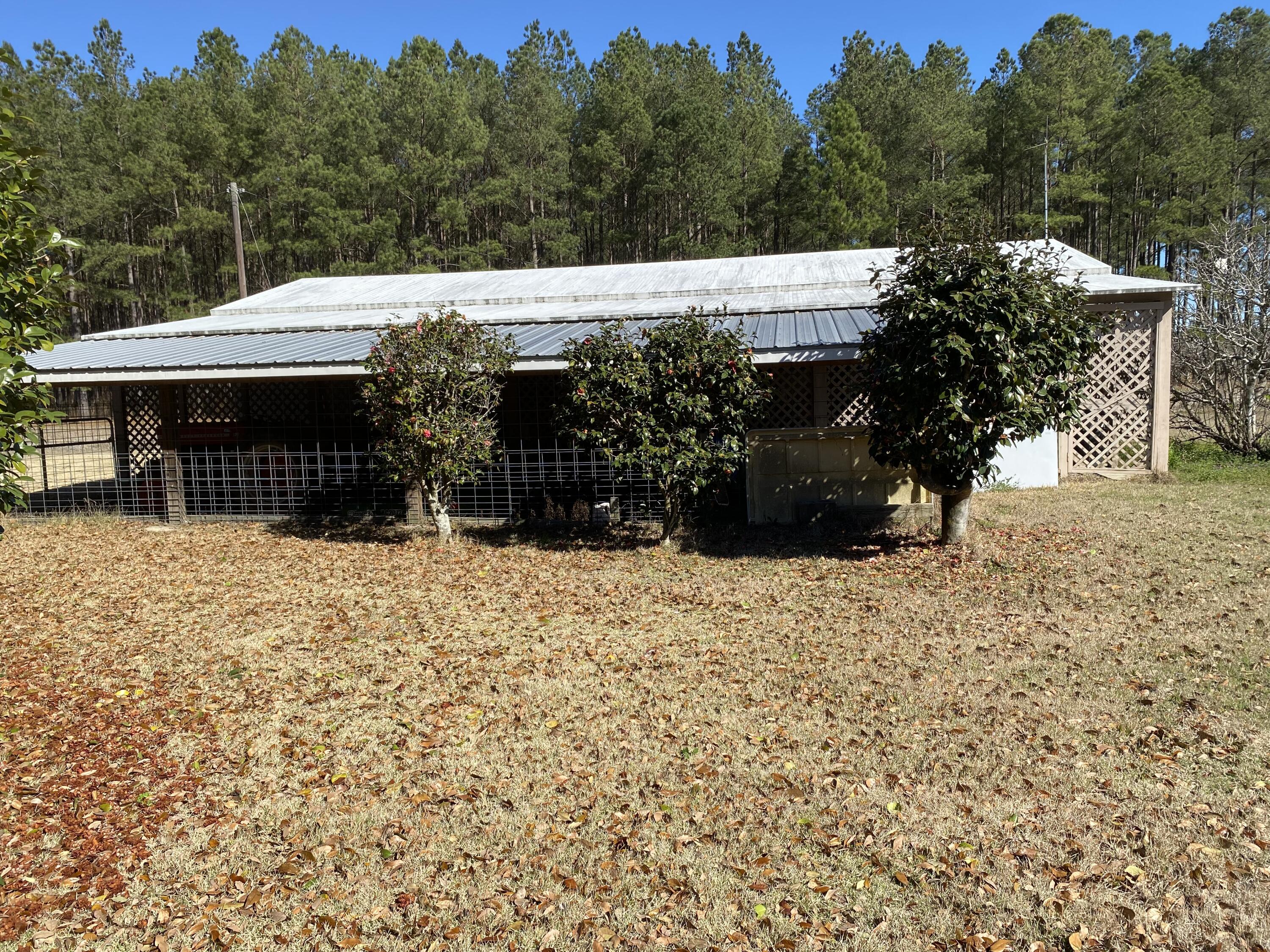 1305 Stafford Road Pineland, SC 29934 - Photo 4 of 12 IMG_8082