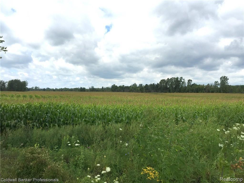 -c & C2 Lemon Road Bancroft, MI 48414 - Photo 1 of 6