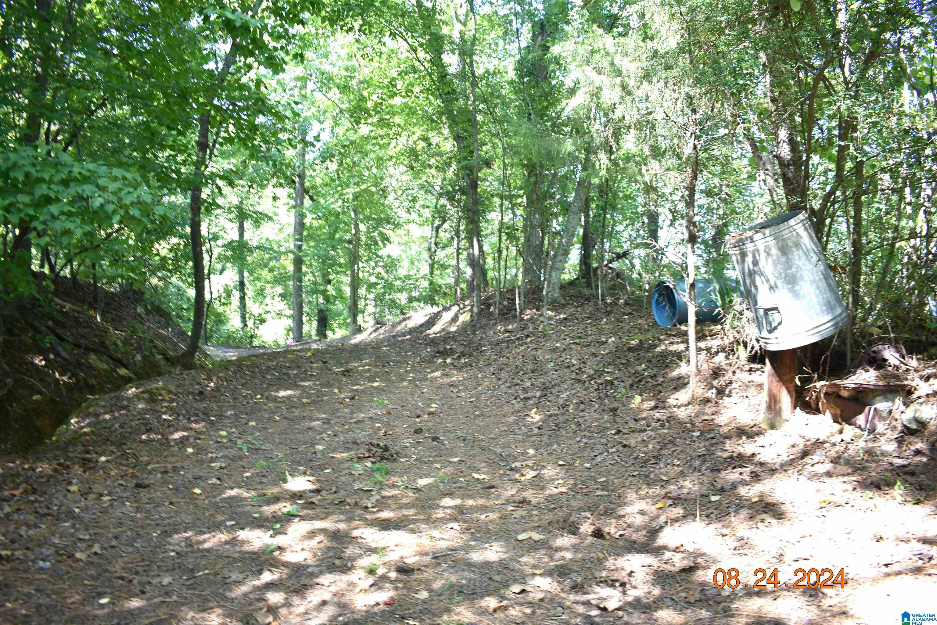 2868 Indian Shoals Road Wilsonville, AL 35186 - Photo 33 of 35