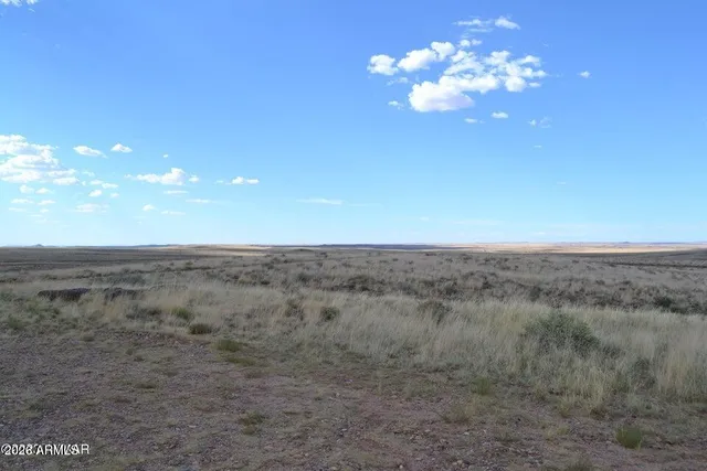 a view of a wooden door