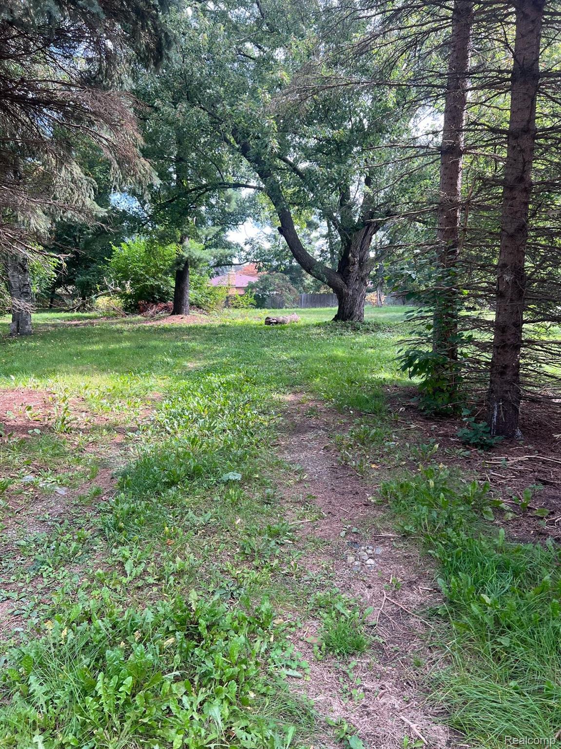 54074 Shelby Road Utica, MI 48316 - Photo 5 of 9 Gallery Image 5