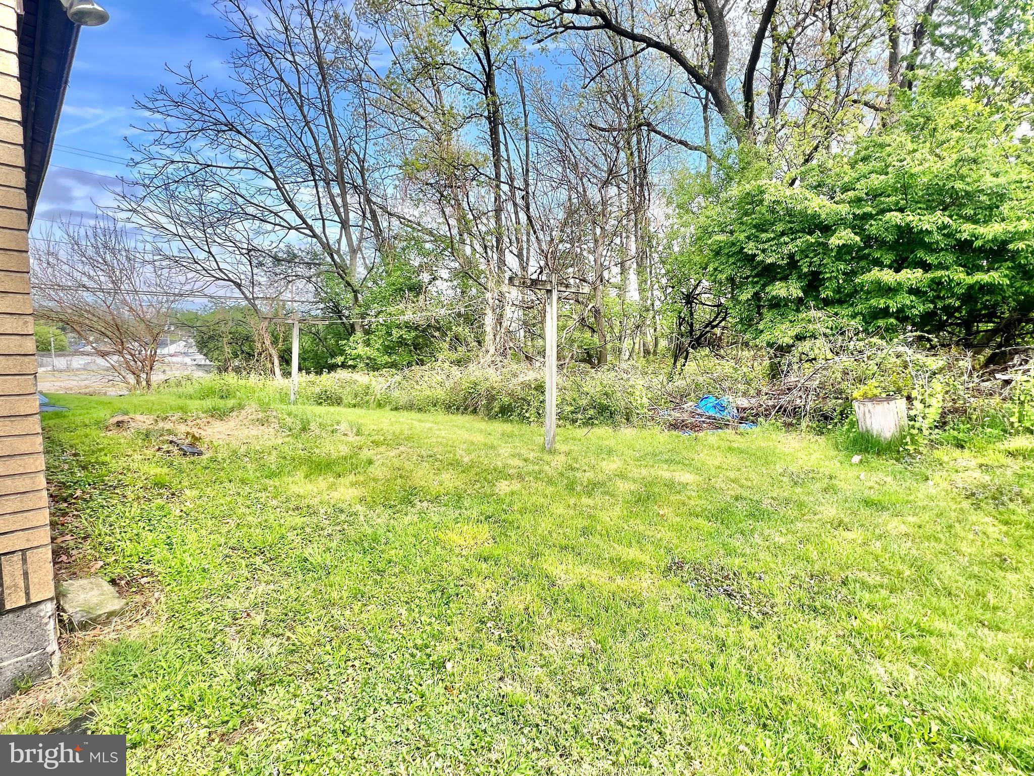 1310 Hay Road Temple, PA 19560 - Photo 44 of 48 Backyard