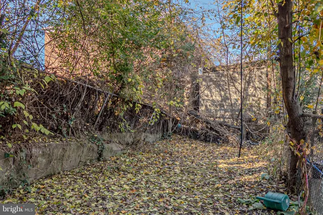 a view of a yard with large trees
