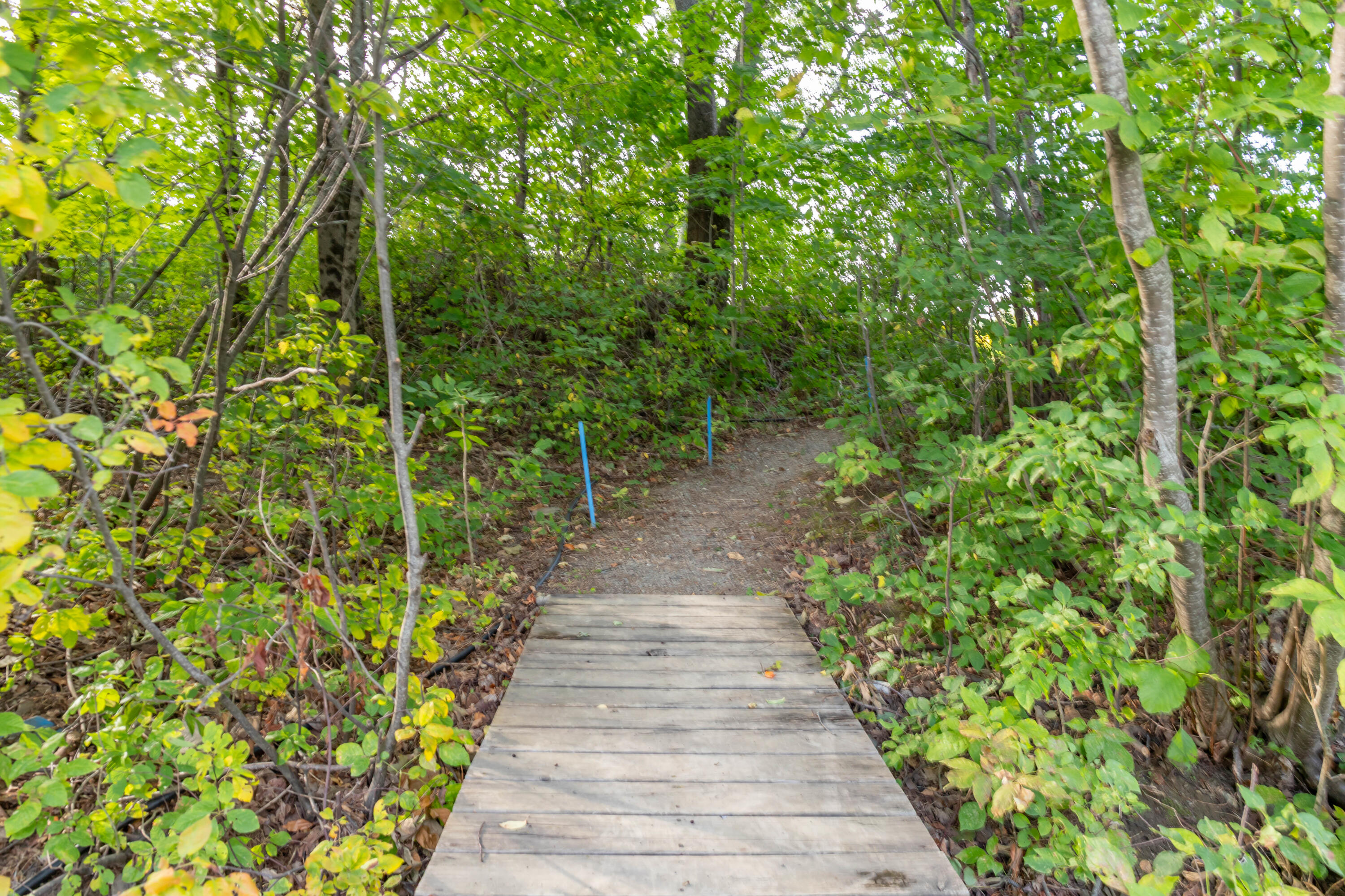 53 Calvin Oakfield, ME 04763 - Photo 16 of 103 IMG_0047