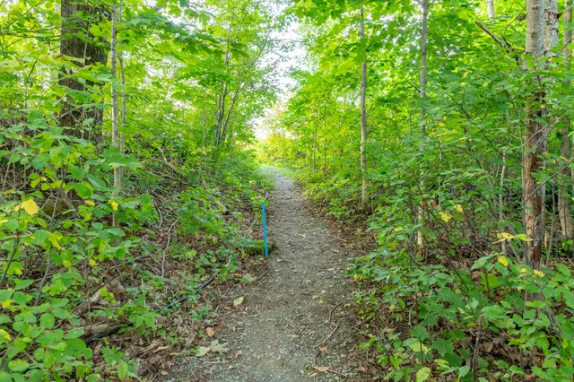 $325,000 | 53 Calvin, Oakfield, ME 04763