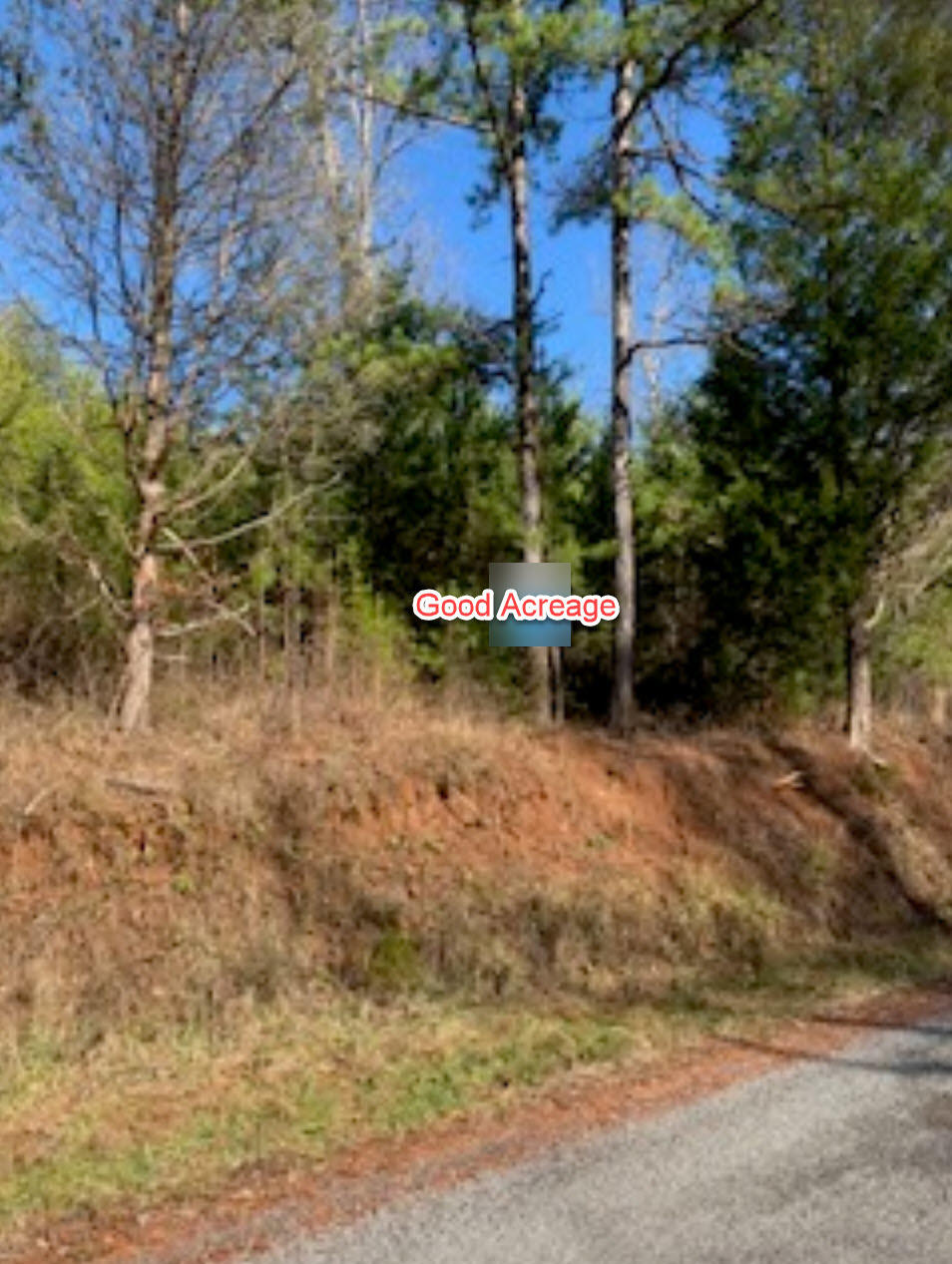 155 Hardin Cemetery Road Vonore, TN 37885 - Photo 2 of 5 Barb Hardin 2