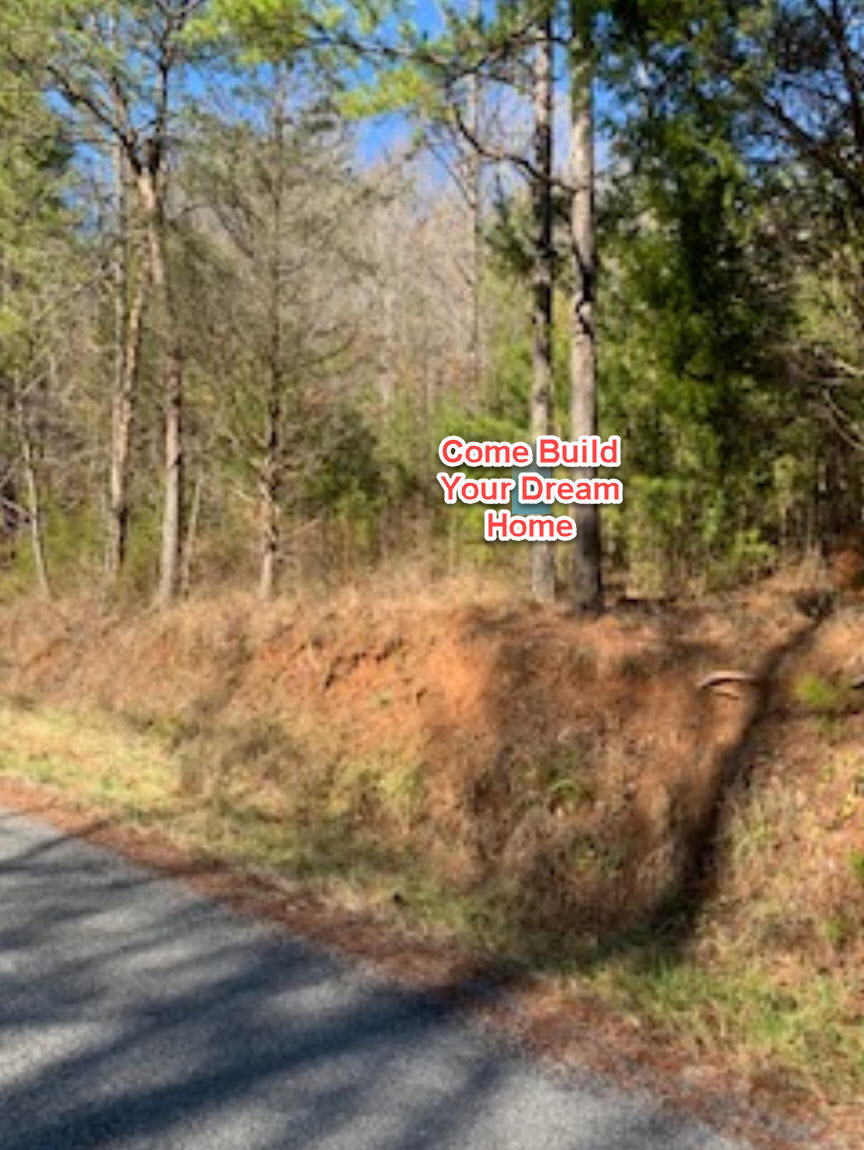 155 Hardin Cemetery Road Vonore, TN 37885 - Photo 3 of 5 Barb Hardin 1