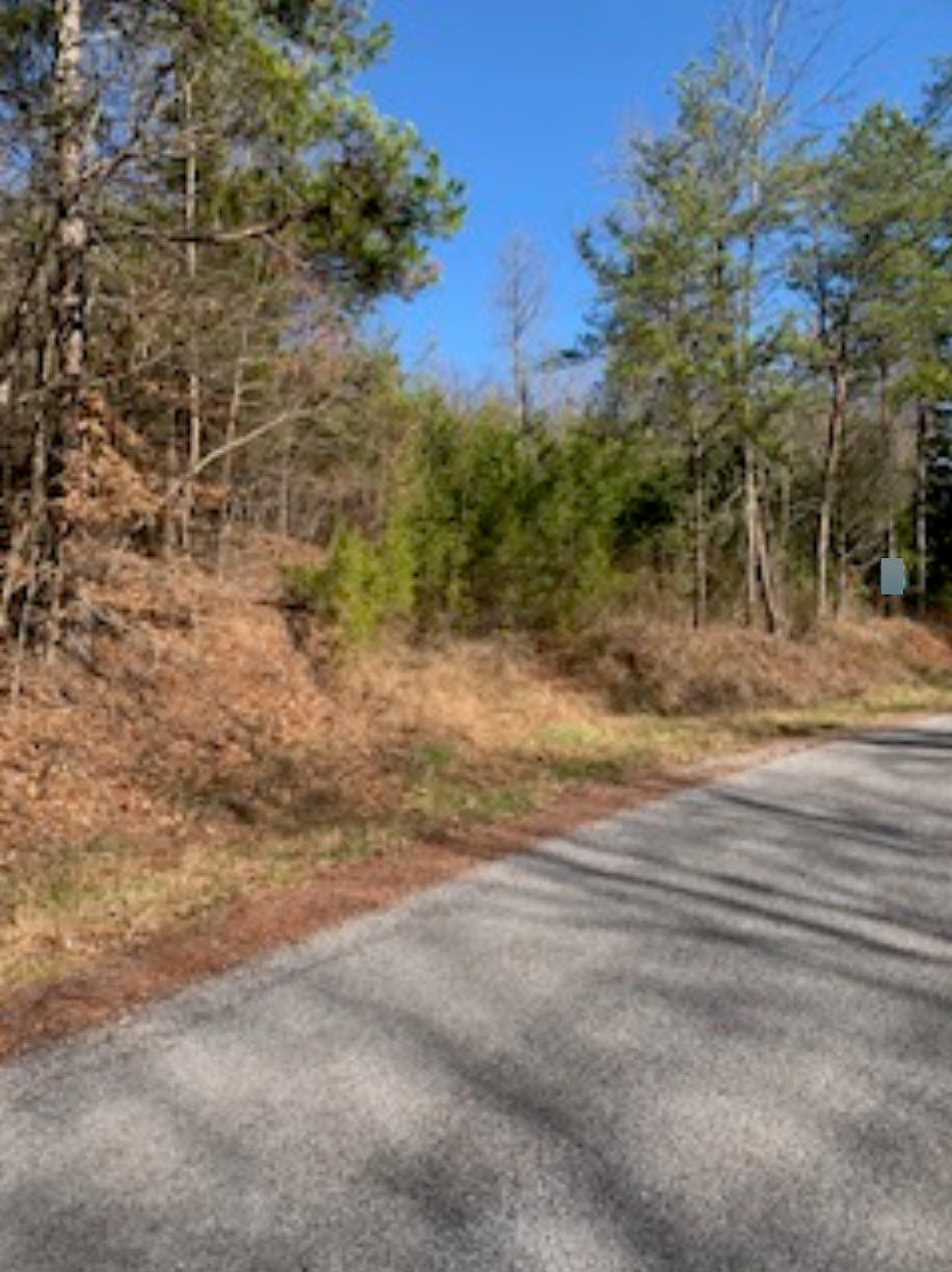 155 Hardin Cemetery Road Vonore, TN 37885 - Photo 4 of 5 Barb Hardin 3