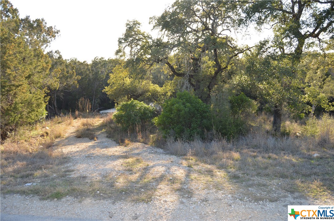 356 Ridge Country New Braunfels, TX 78132 - Photo 1 of 1 a view of outdoor space and yard