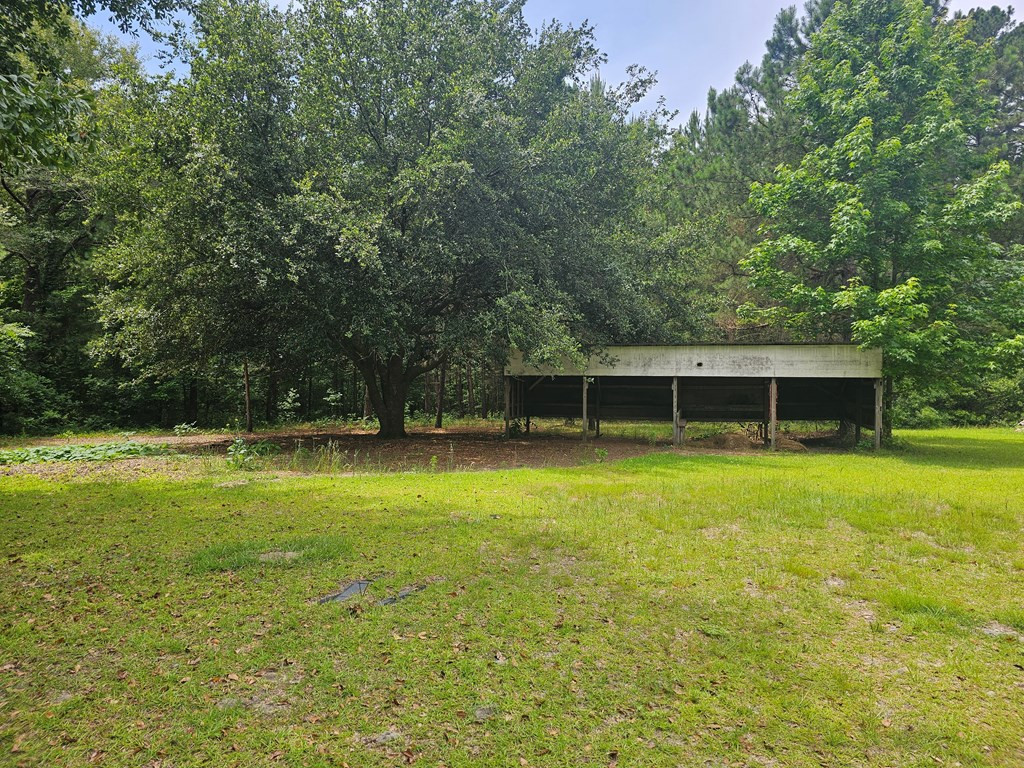 14196 Raccoon Road Manning, SC 29102 - Photo 15 of 39 Gallery Image 15