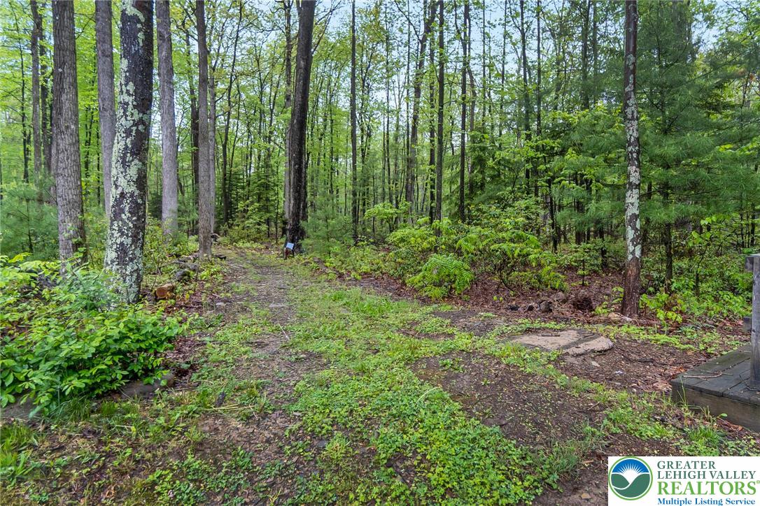 9223 North Loop Road Slatington, PA 18080 - Photo 48 of 60 a view of outdoor space and garden