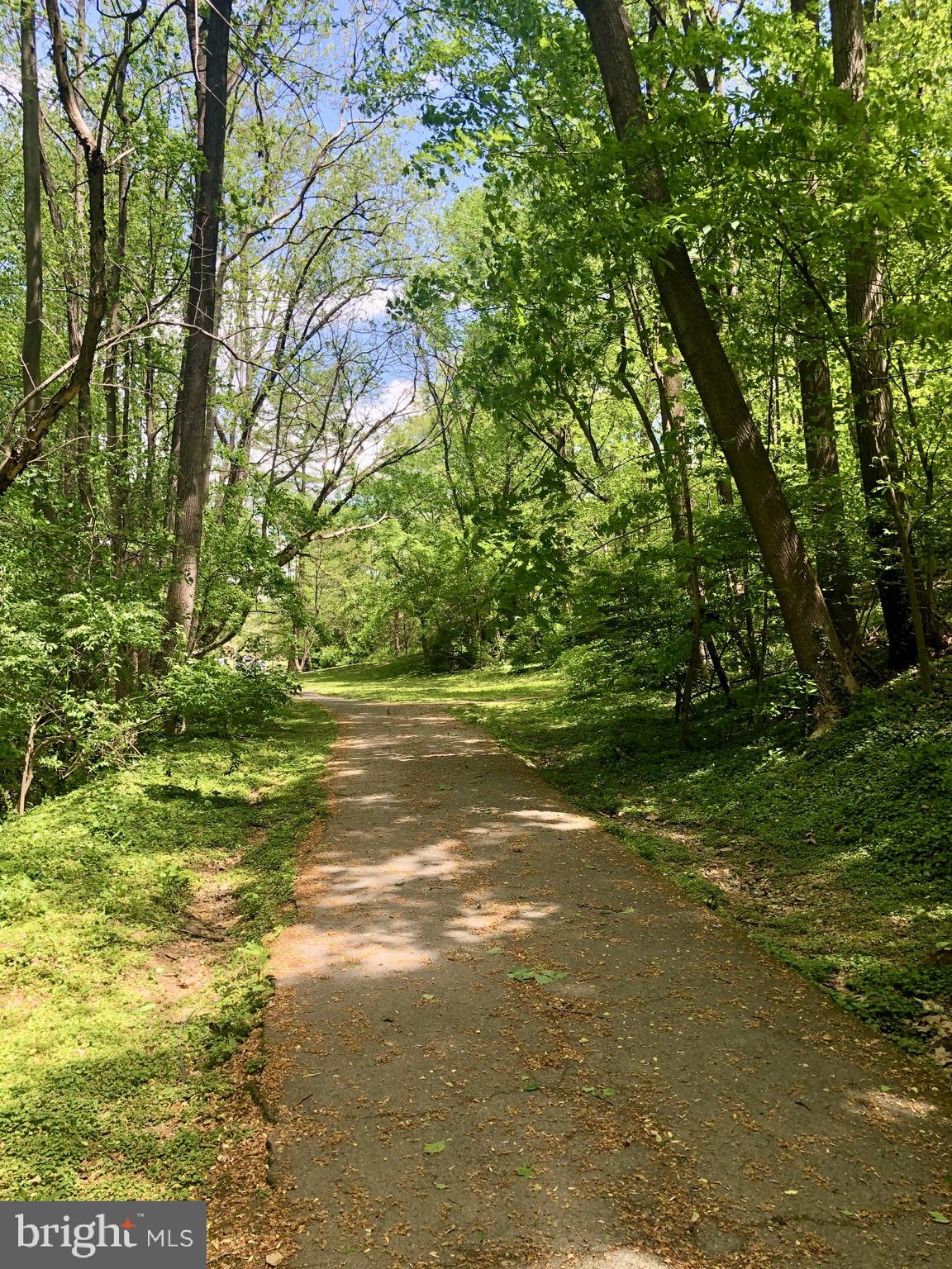 2413 Churchill Road Silver Spring, MD 20902 - Photo 38 of 56 Trails at the park
