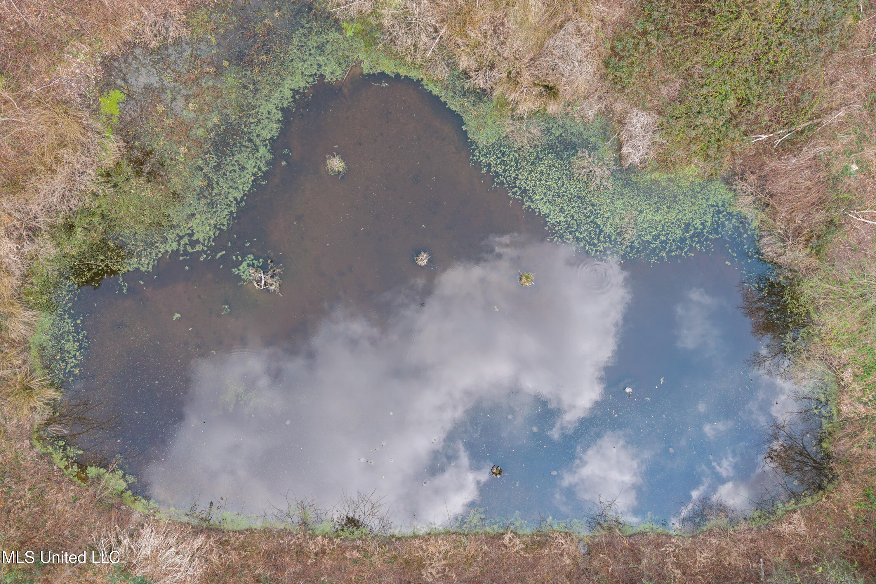 25349 McHenry Road Saucier, MS 39574 - Photo 15 of 22 0034 (2)