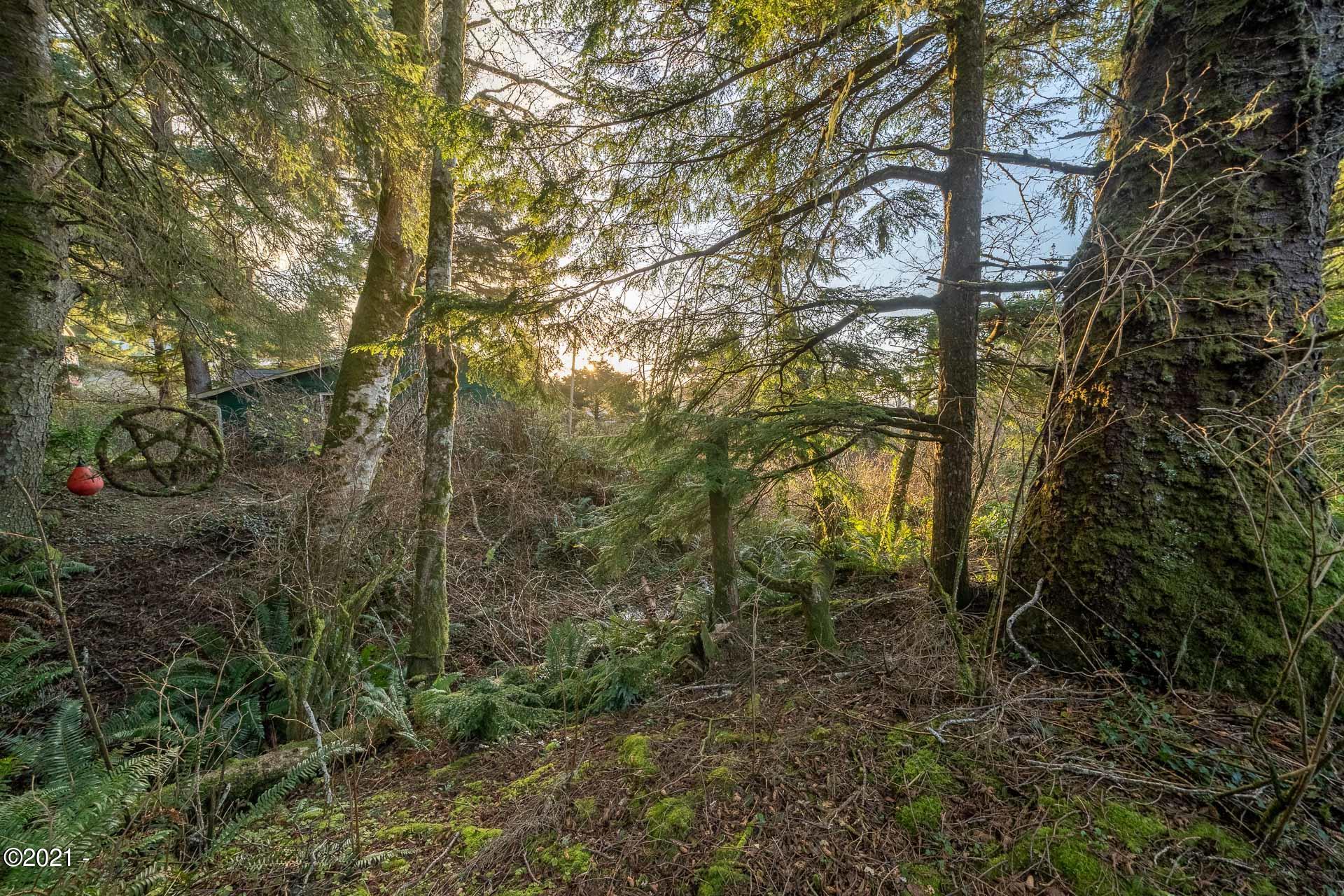 158 Highway 101 Yachats, OR 97498 - Photo 9 of 21 _DSC4699-HDR