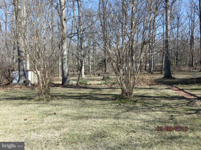 408 Crosby Road Baltimore, MD 21228 - Photo 14 of 17 a view of a yard with a tree
