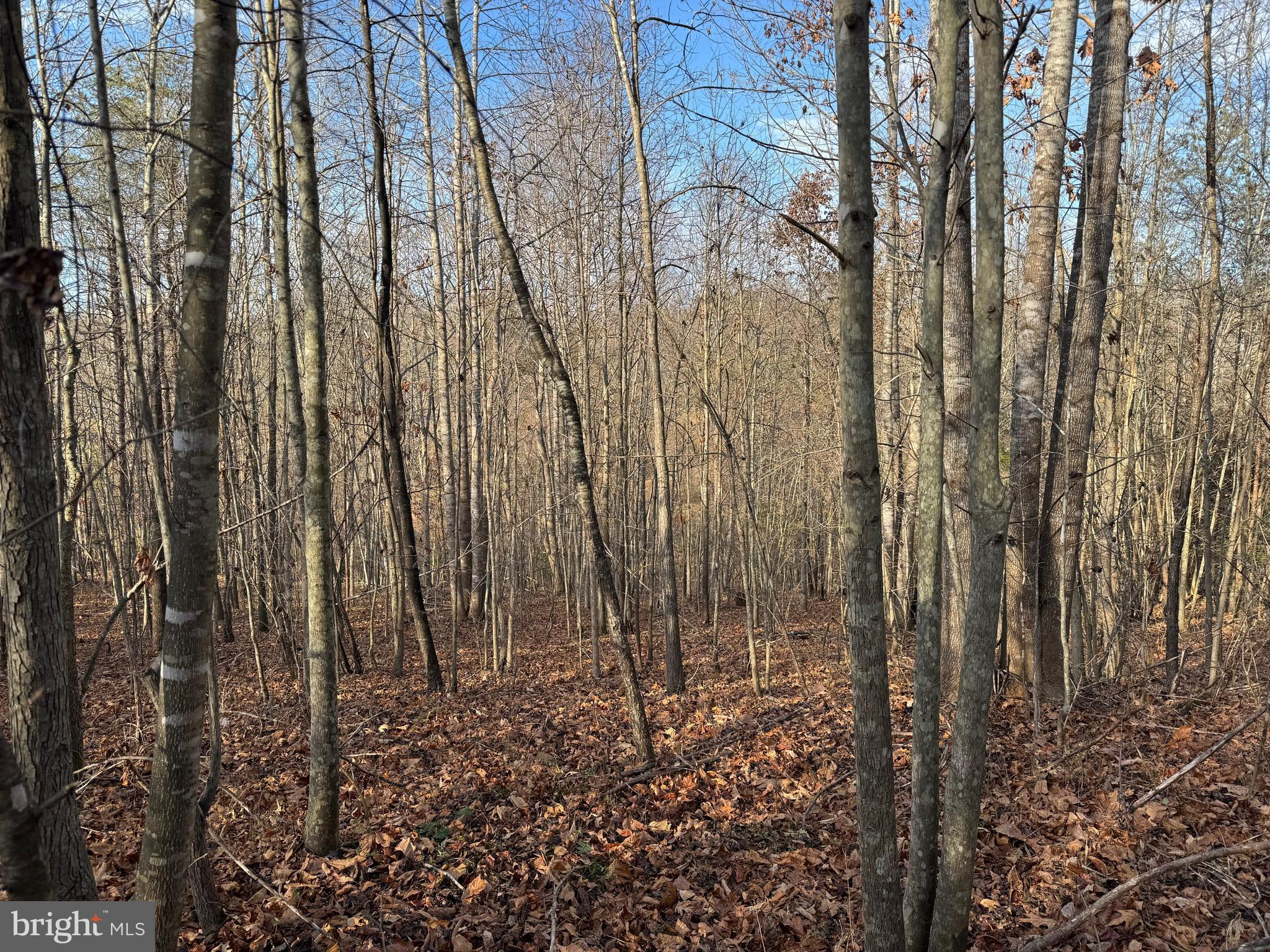 0 Peace And Quiet Circle Reva, VA 22735 - Photo 2 of 5 Level Building Area