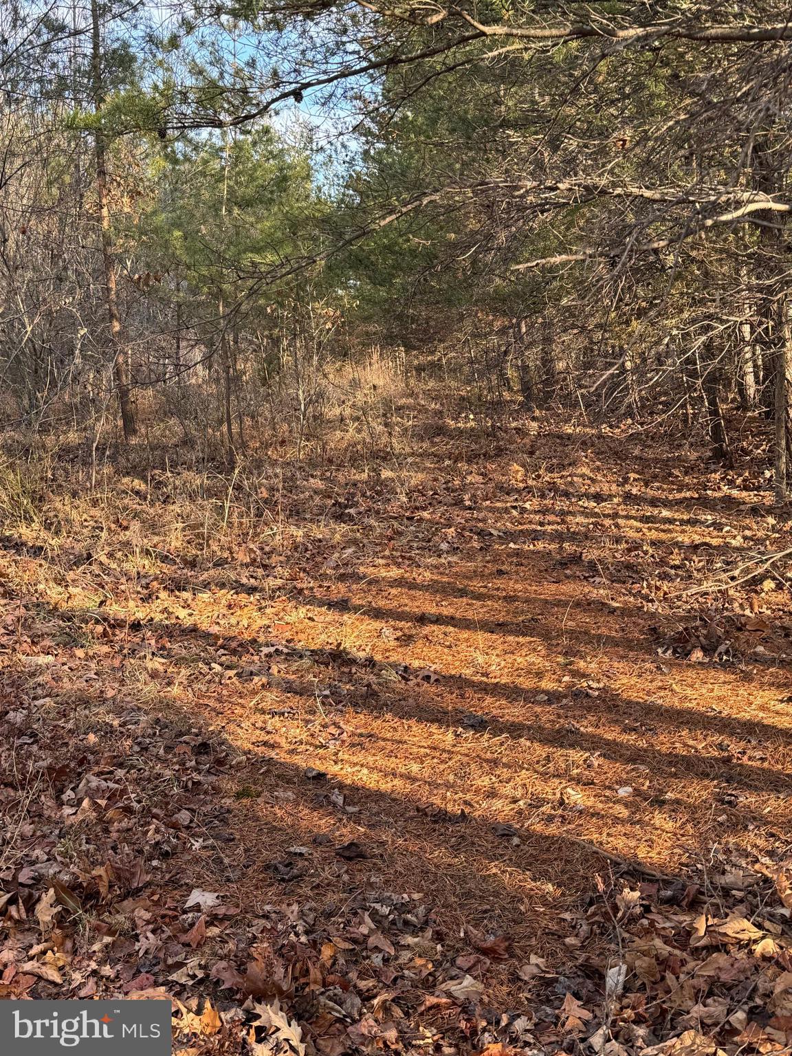 0 Peace And Quiet Circle Reva, VA 22735 - Photo 3 of 5 Future Driveway/Shared ROW