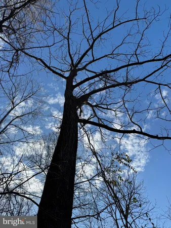 $81,000 | 0 Peace And Quiet Circle, Reva, VA 22735