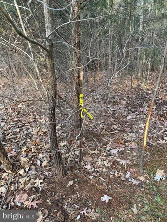 $81,000 | 0 Peace And Quiet Circle, Reva, VA 22735