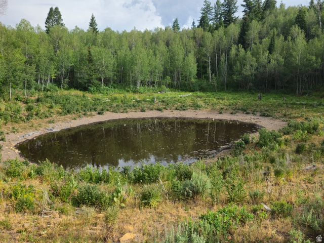 976 Outback Road Montpelier, ID 83254 - Photo 20 of 28 Natural pond surrounded by varied vegetation and a dense forest backdrop
