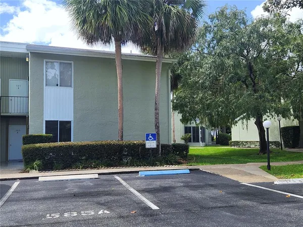 a view of a garden with palm trees