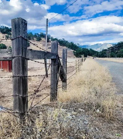 a view of a yard with wooden fence