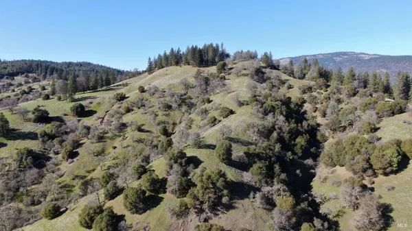 a view of a lush green hillside and a mountain