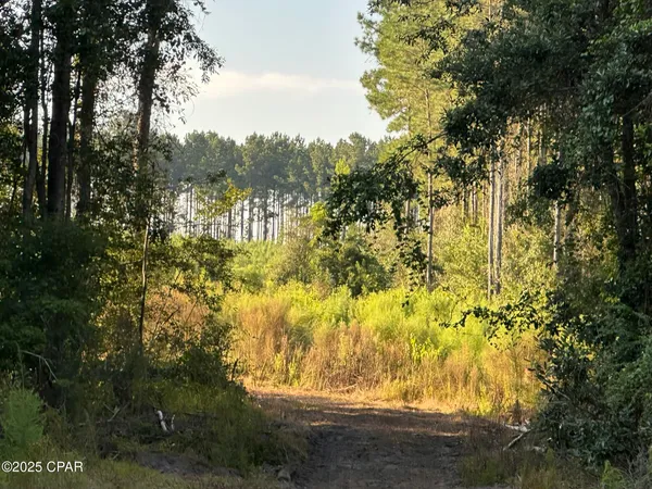 $979,900 | Tract#6201 Doyle Morgan Road, DeFuniak Springs, FL 32433