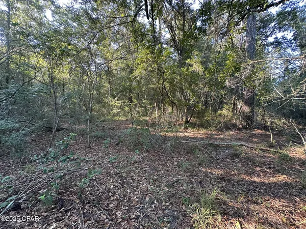 $979,900 | Tract#6201 Doyle Morgan Road, DeFuniak Springs, FL 32433