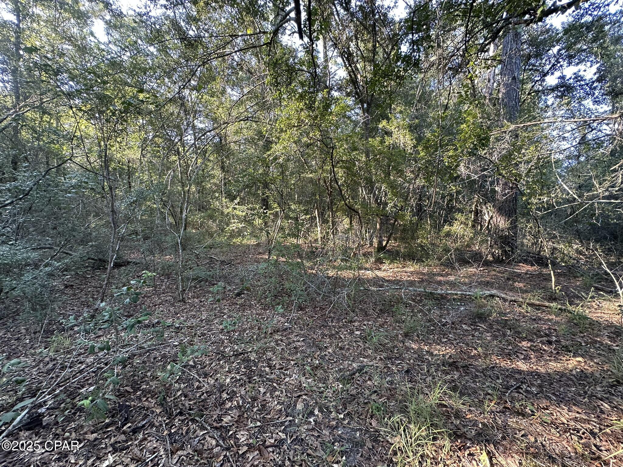 Tract#6201 Doyle Morgan Road DeFuniak Springs, FL 32433 - Photo 12 of 39