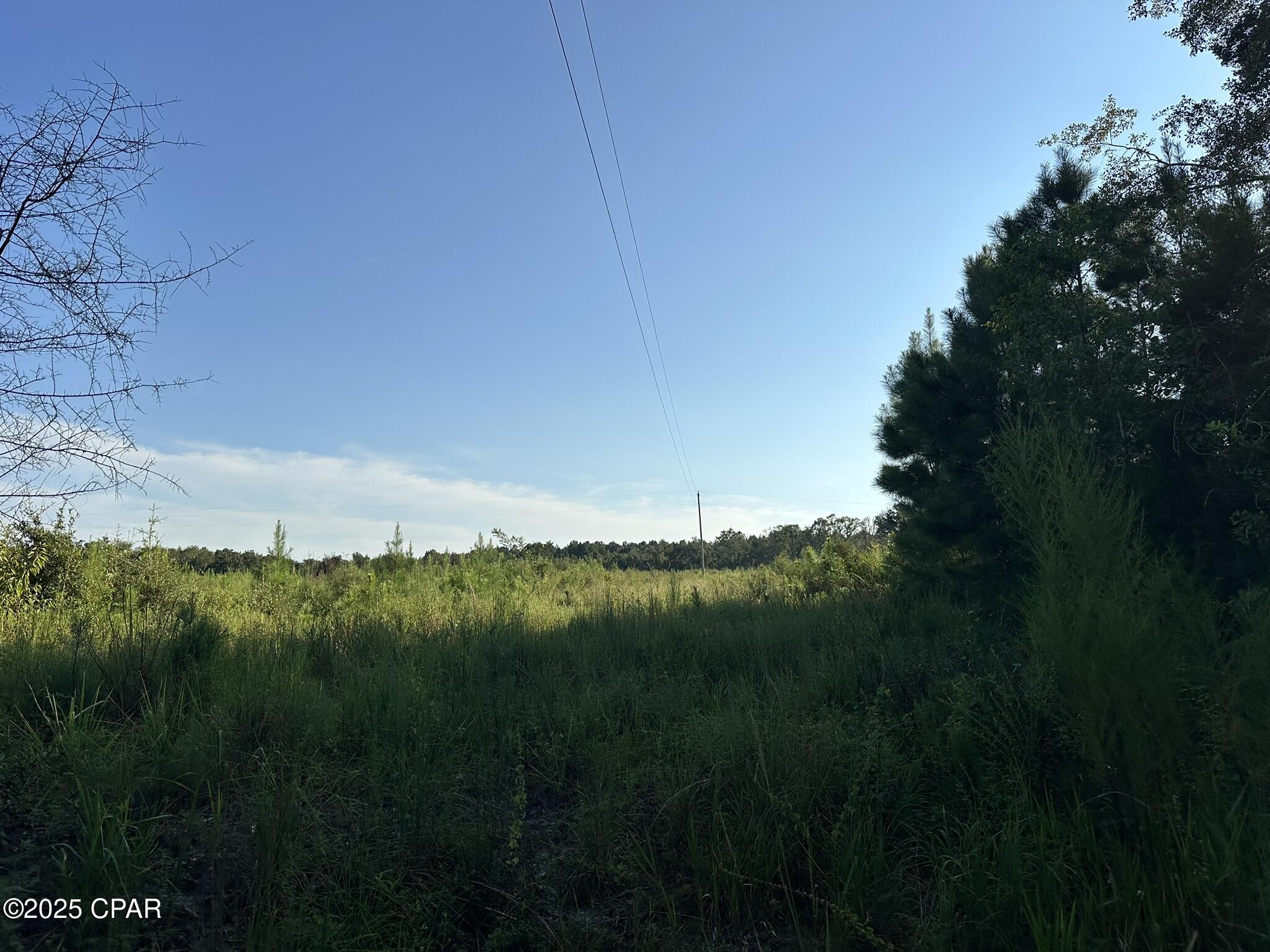 Tract#6201 Doyle Morgan Road DeFuniak Springs, FL 32433 - Photo 13 of 39