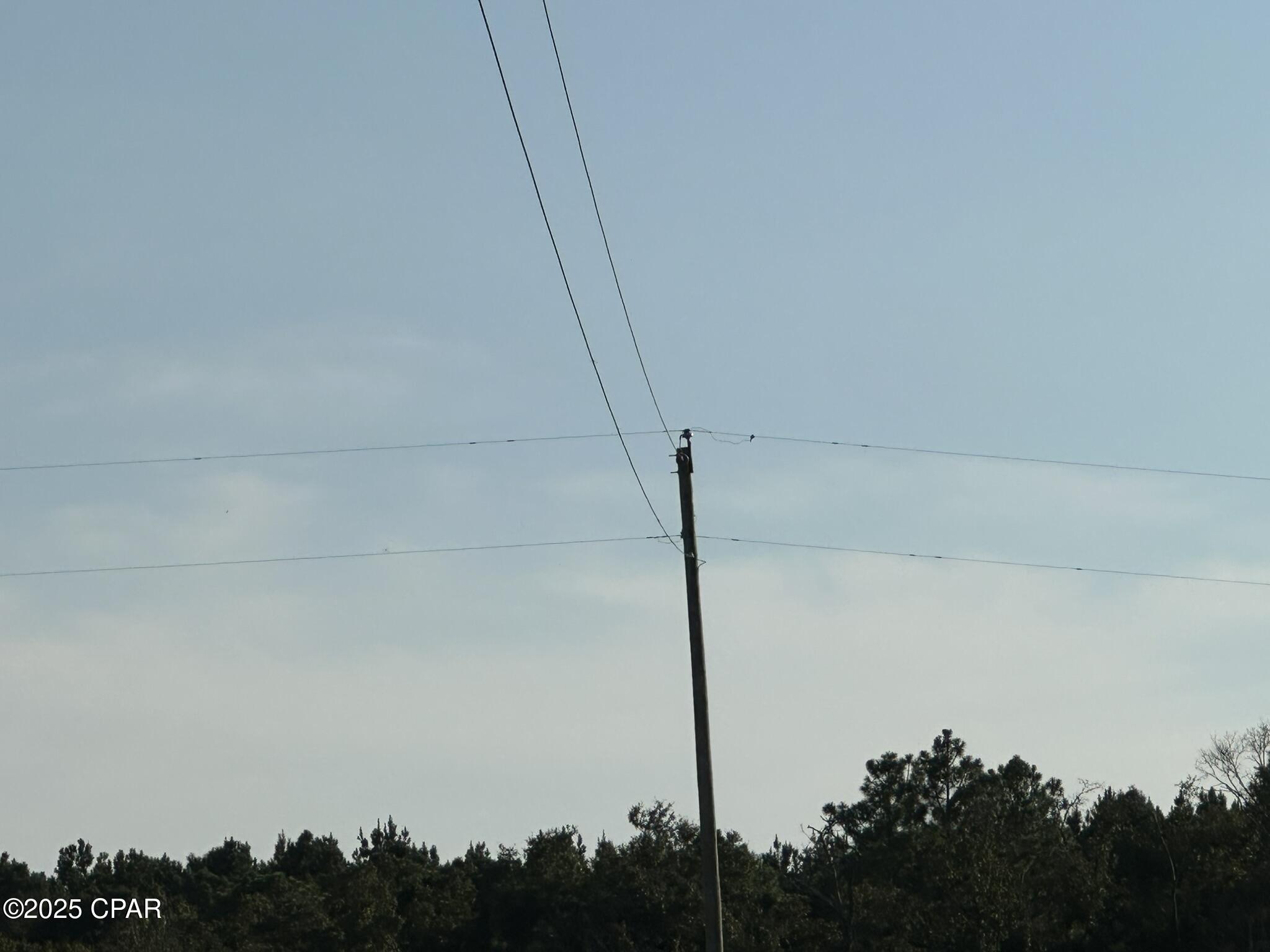 Tract#6201 Doyle Morgan Road DeFuniak Springs, FL 32433 - Photo 14 of 39