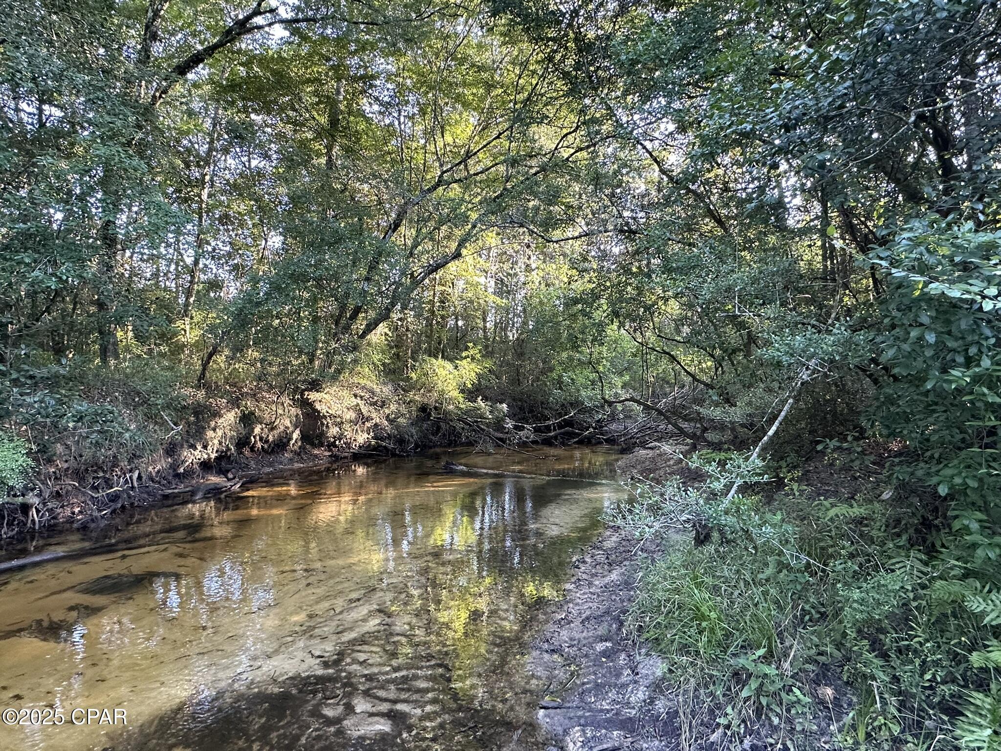 Tract#6201 Doyle Morgan Road DeFuniak Springs, FL 32433 - Photo 15 of 39