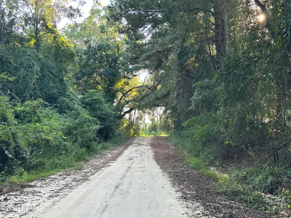 $979,900 | Tract#6201 Doyle Morgan Road, DeFuniak Springs, FL 32433