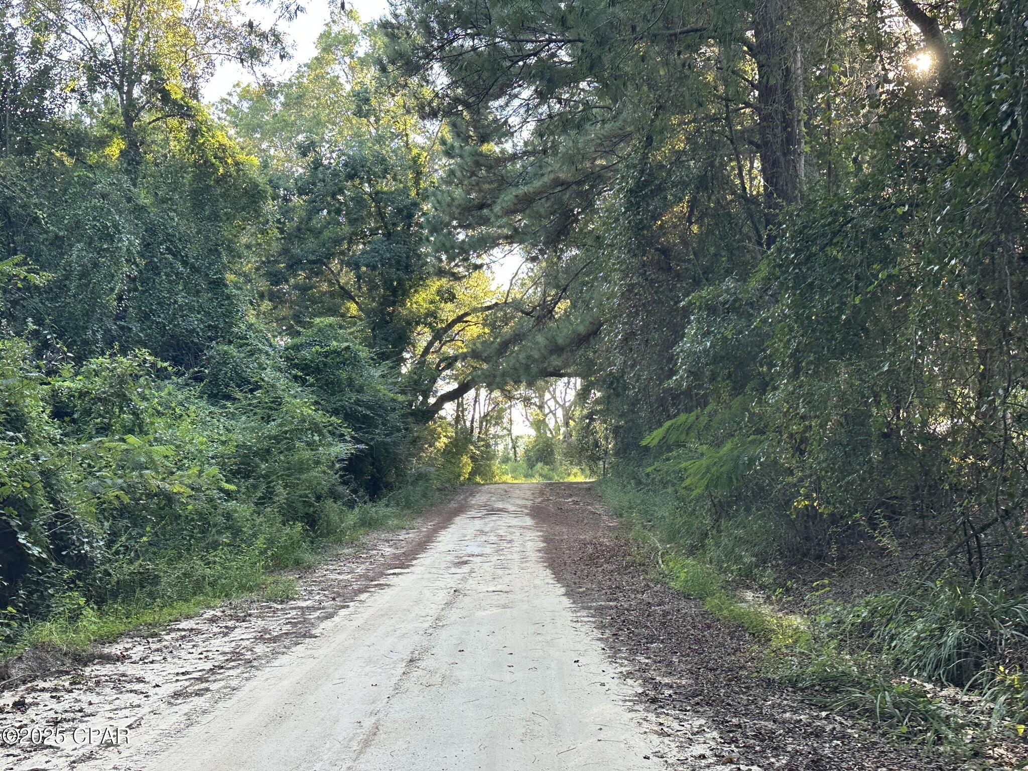 Tract#6201 Doyle Morgan Road DeFuniak Springs, FL 32433 - Photo 16 of 39