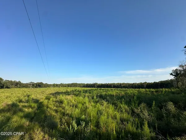 $979,900 | Tract#6201 Doyle Morgan Road, DeFuniak Springs, FL 32433