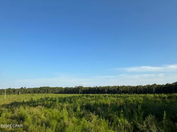 $979,900 | Tract#6201 Doyle Morgan Road, DeFuniak Springs, FL 32433