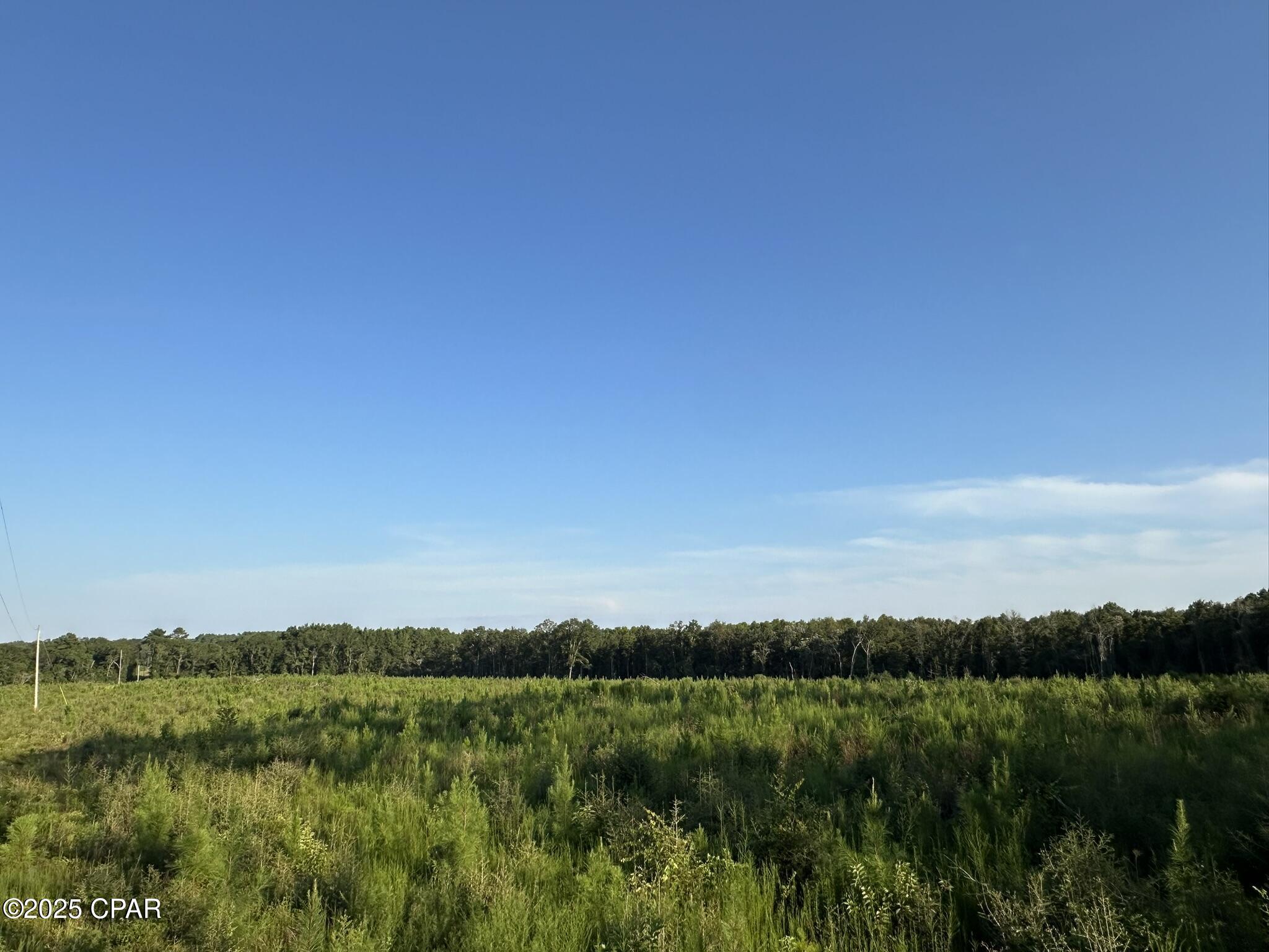 Tract#6201 Doyle Morgan Road DeFuniak Springs, FL 32433 - Photo 18 of 39