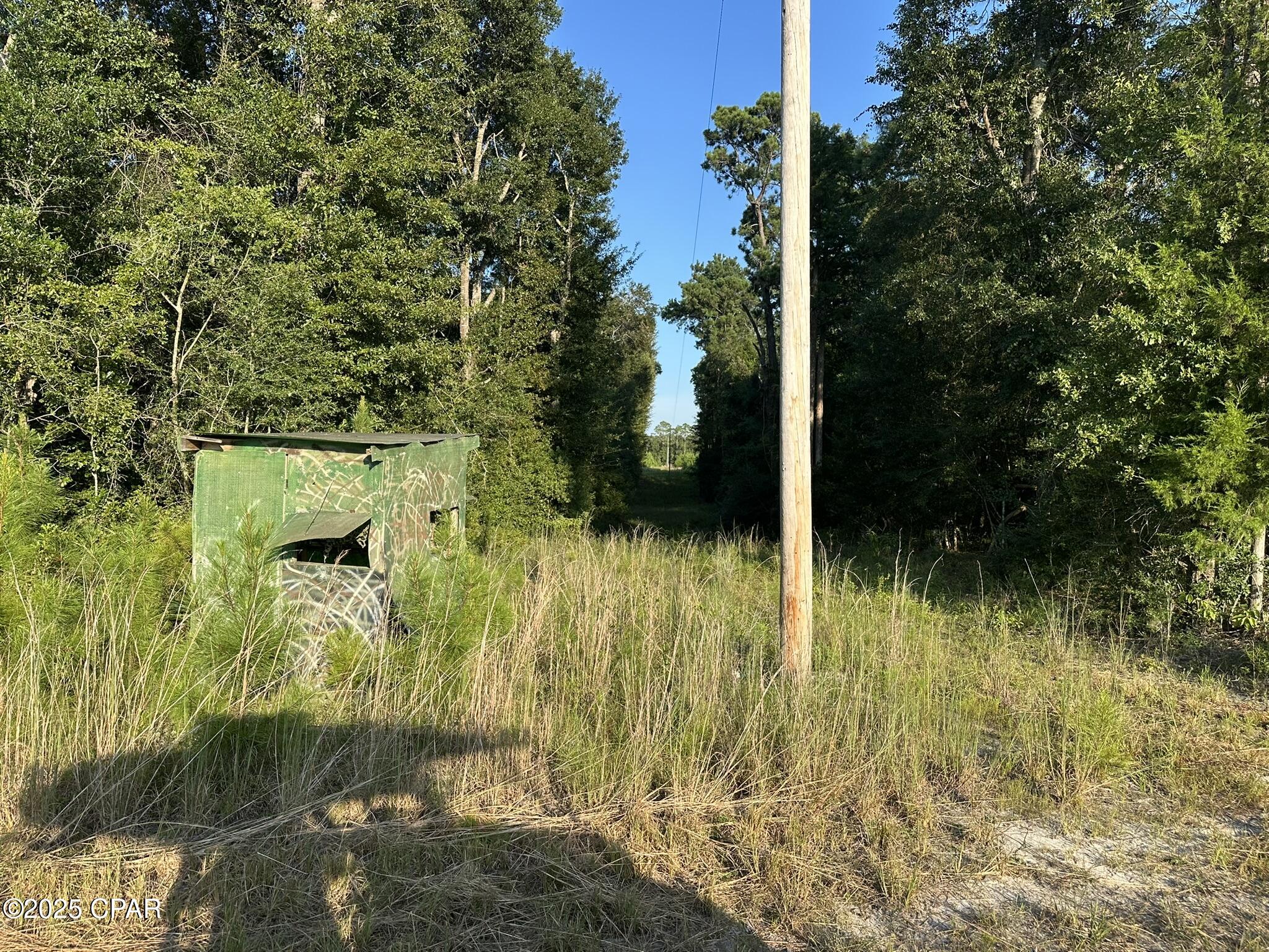 Tract#6201 Doyle Morgan Road DeFuniak Springs, FL 32433 - Photo 19 of 39