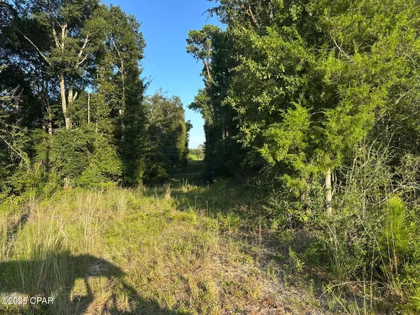 $979,900 | Tract#6201 Doyle Morgan Road, DeFuniak Springs, FL 32433