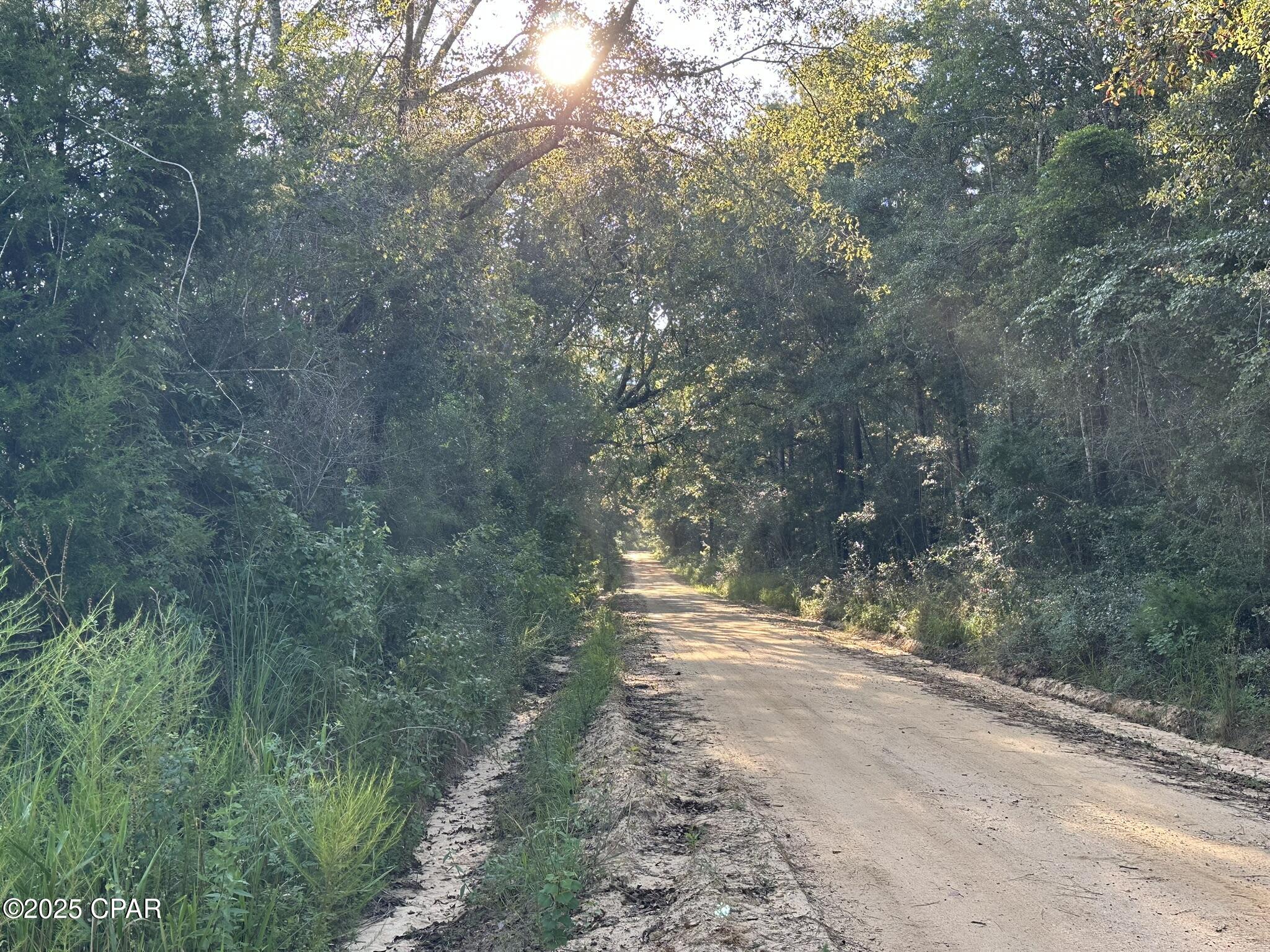 Tract#6201 Doyle Morgan Road DeFuniak Springs, FL 32433 - Photo 2 of 39