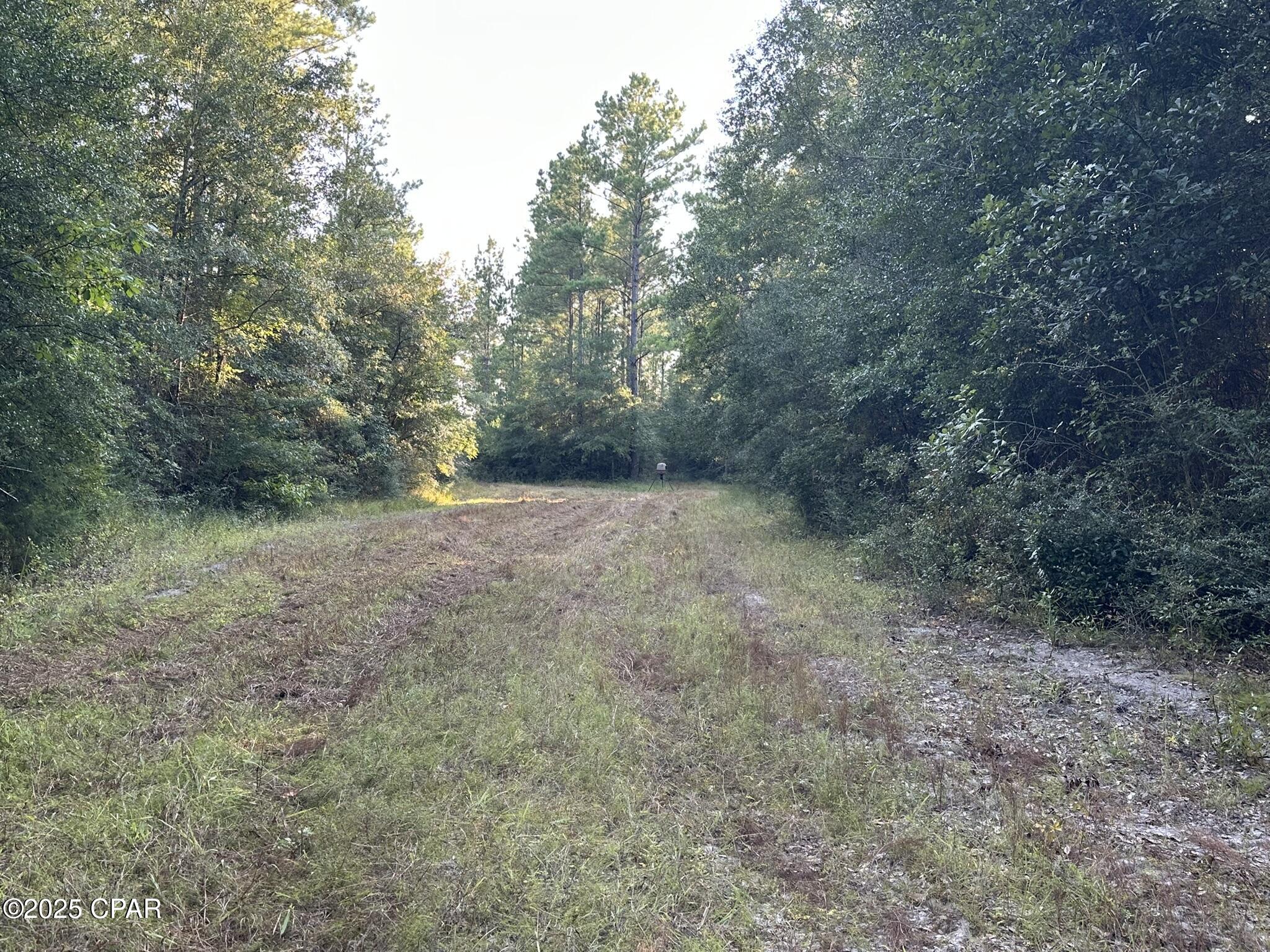 Tract#6201 Doyle Morgan Road DeFuniak Springs, FL 32433 - Photo 22 of 39