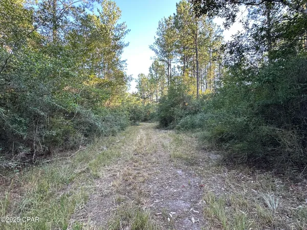 $979,900 | Tract#6201 Doyle Morgan Road, DeFuniak Springs, FL 32433