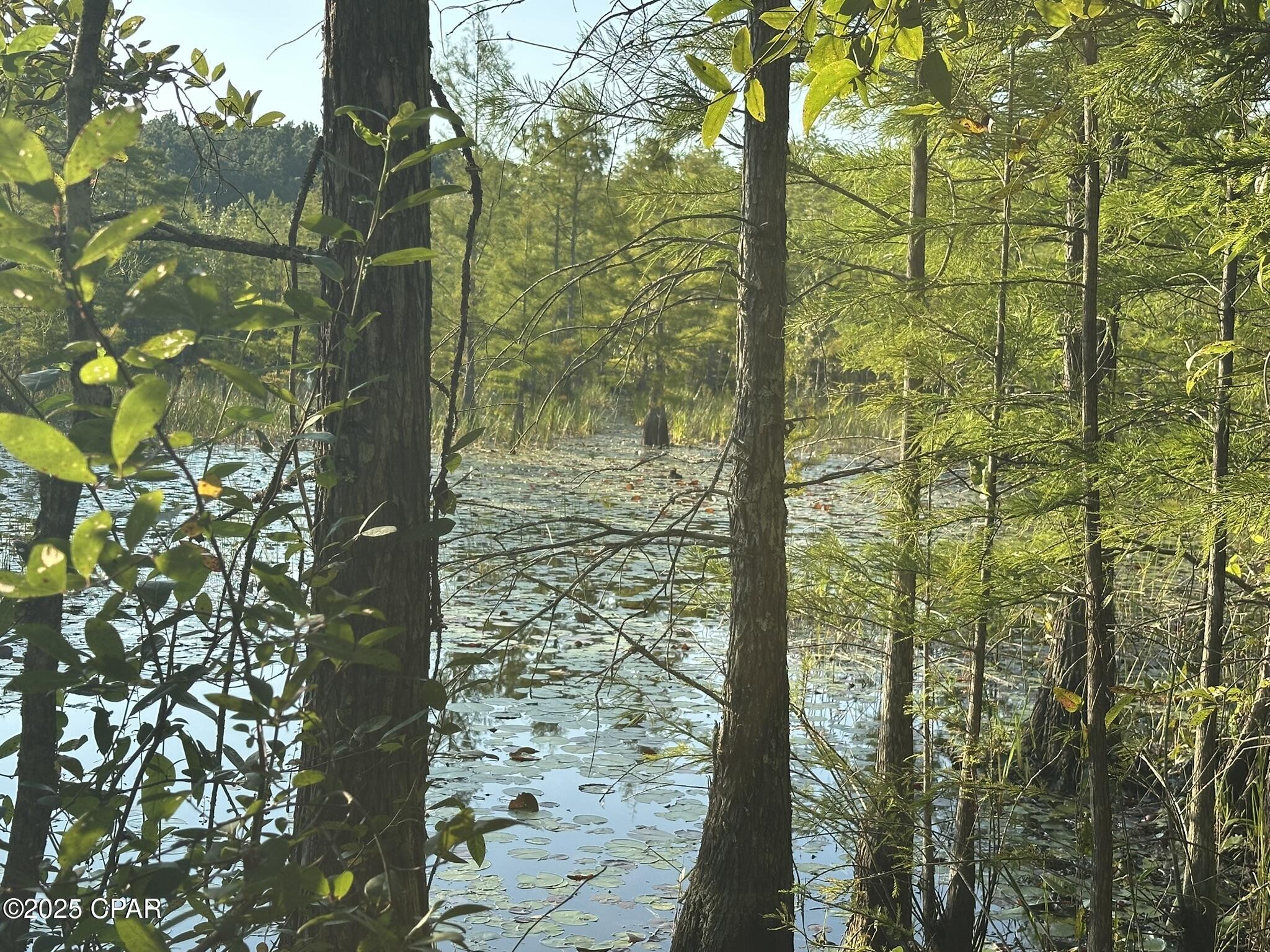 Tract#6201 Doyle Morgan Road DeFuniak Springs, FL 32433 - Photo 24 of 39