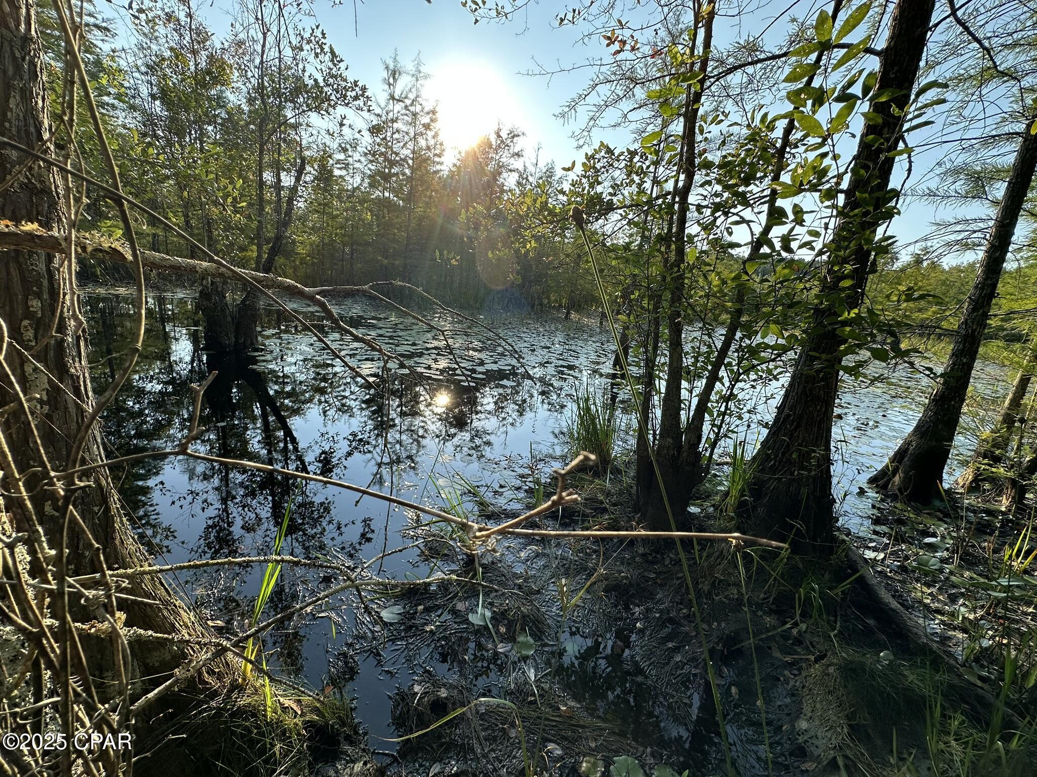 Tract#6201 Doyle Morgan Road DeFuniak Springs, FL 32433 - Photo 25 of 39
