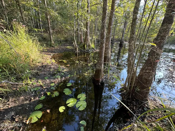 $979,900 | Tract#6201 Doyle Morgan Road, DeFuniak Springs, FL 32433