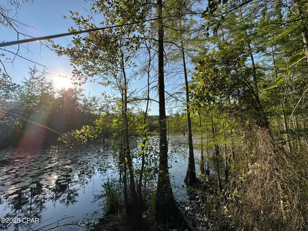 $979,900 | Tract#6201 Doyle Morgan Road, DeFuniak Springs, FL 32433