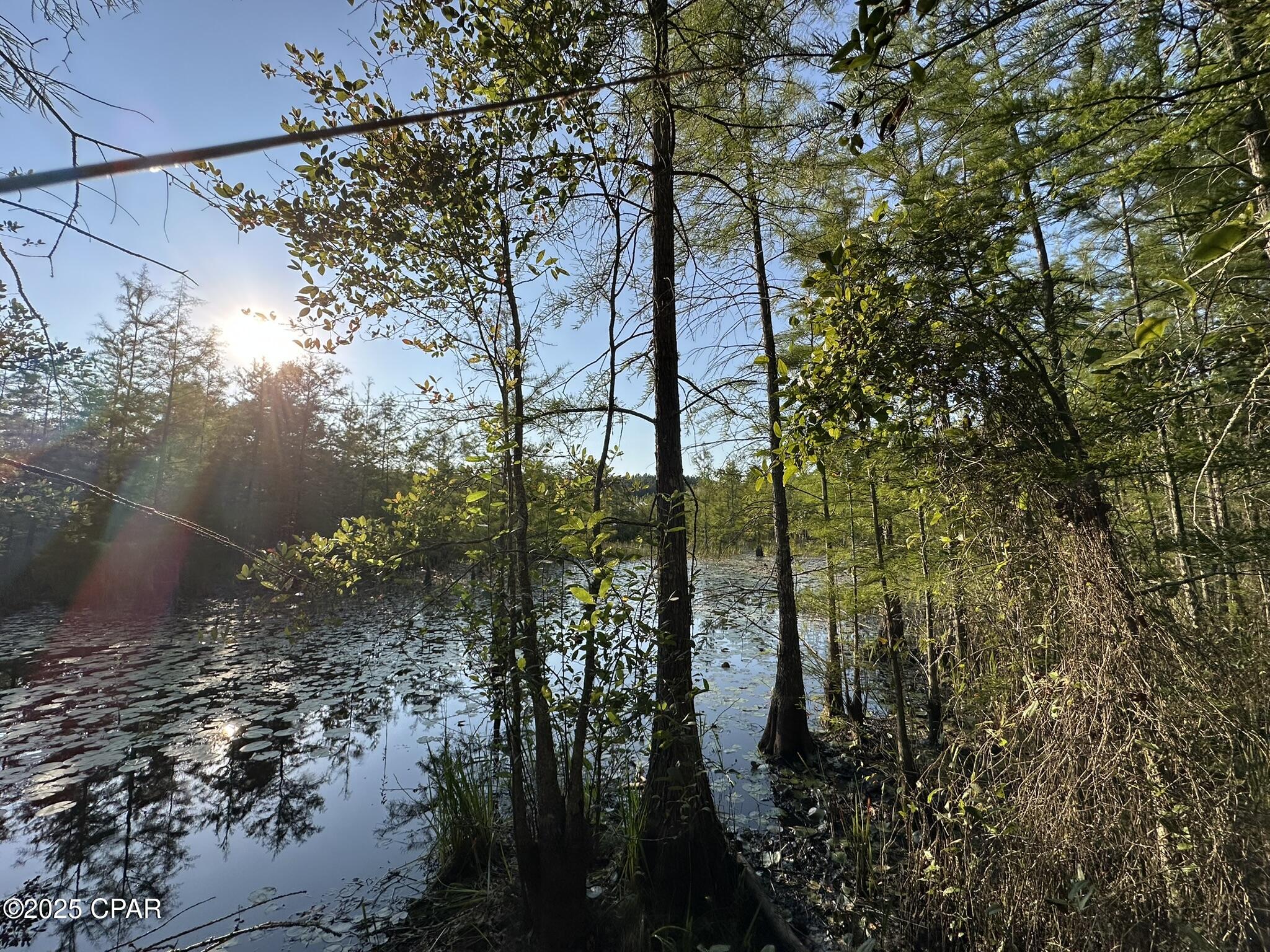 Tract#6201 Doyle Morgan Road DeFuniak Springs, FL 32433 - Photo 27 of 39