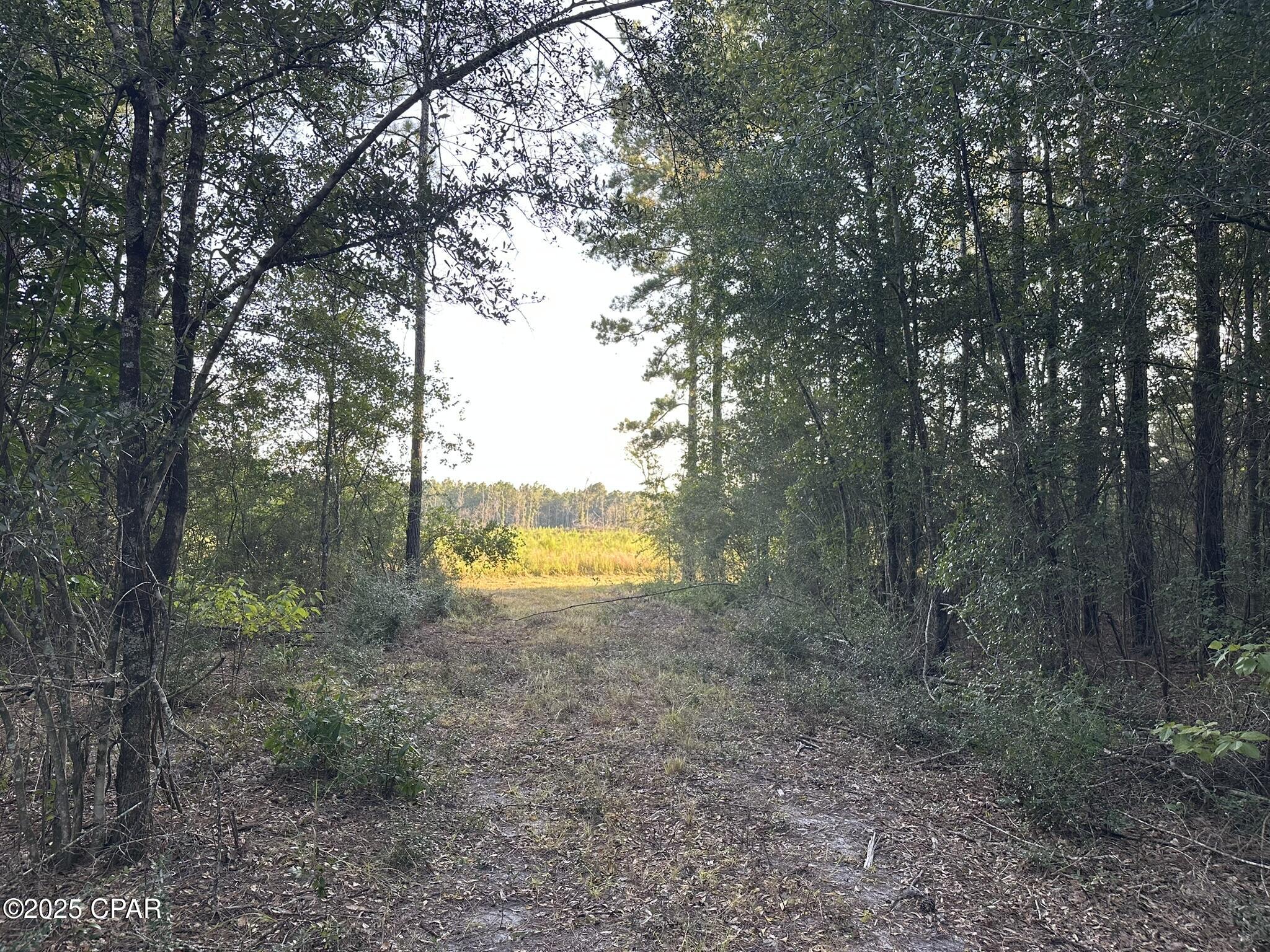 Tract#6201 Doyle Morgan Road DeFuniak Springs, FL 32433 - Photo 28 of 39