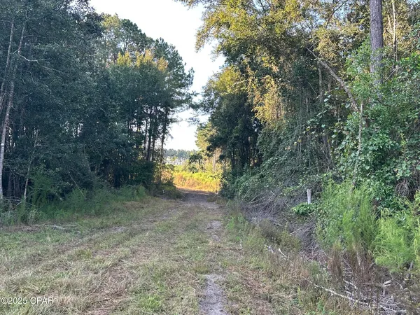 $979,900 | Tract#6201 Doyle Morgan Road, DeFuniak Springs, FL 32433